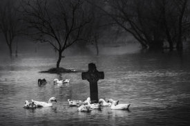Marius Cinteza - Flooded