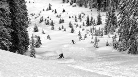 Marcel Rebro - Freeriders
