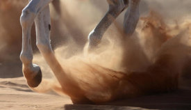 Kadir Civici - Oman Desert