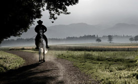 Milan Malovrh - Mysterious Horseman