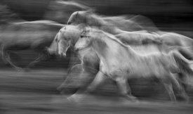 Milan Malovrh - In Motion