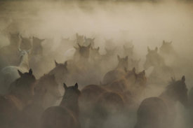 Huseyin Taskin - In Dust