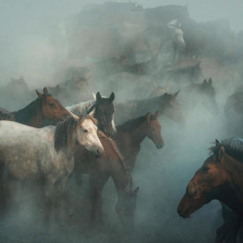 Huseyin Taskin - Lost Horses