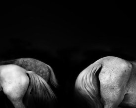 Linda Wride - Tail Ends