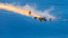 Hua Zhu - Winter Sunset In Bashang