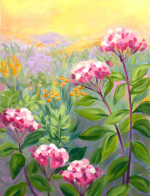 Tummy Rubb Studio - Fields at Sunrise
