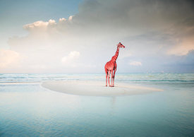 Arlo Wren Photos - Oceanic Savannah