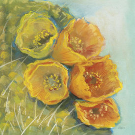 Carol Rowan - Blooming Succulent II