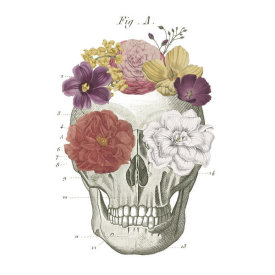 Wild Apple Portfolio - Floral Skull I