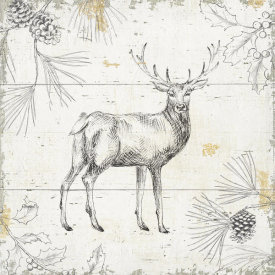 Daphne Brissonnet - Wild and Beautiful X