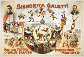 Hollywood Photo Archive - Signorita Galetti Performing Monkeys