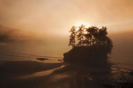 Laura Marshall - Last Light
