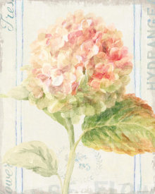 Danhui Nai - Floursack Florals VI