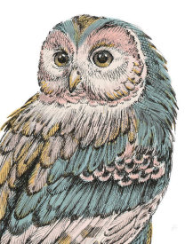 Daphne Brissonnet - Beautiful Owls I Pastel