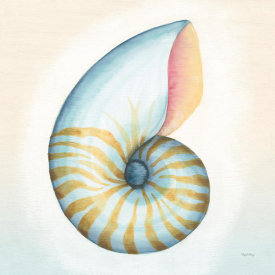 Elyse DeNeige - Boardwalk Nautilus