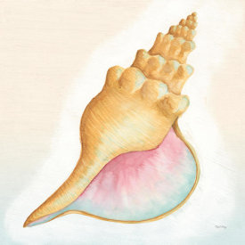 Elyse DeNeige - Boardwalk Conch