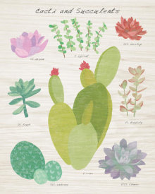 Wild Apple Portfolio - Succulent and Cacti Chart III on Wood