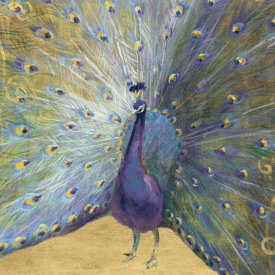 Danhui Nai - Purple and Gold Peacock