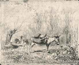 Charles Francois Daubigny - L'Ane au Pre, 1862