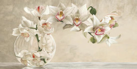 Remy Dellal - Orchid Arrangement I