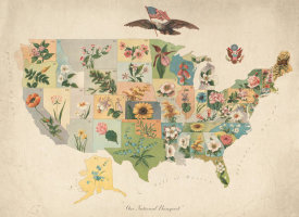 US State Flower Map Company - Our National Bouquet, 1911