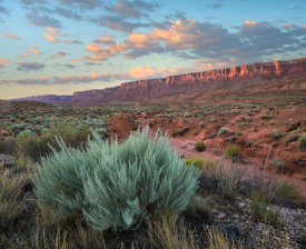 Tim Fitzharris - Desert and cliffs, Vermilion Cliffs National Monument, Arizona