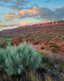 Tim Fitzharris - Desert and cliffs, Vermilion Cliffs National Monument, Arizona