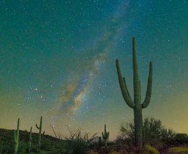 Tim Fitzharris - Saguaro cacti and the Milky Way, Organ Pipe Cactus National Monument, Arizona