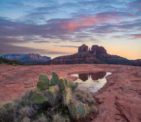 Tim Fitzharris - Cactus and Cathedral Rock at sunset, Coconino National Forest, Arizona