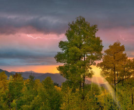 Tim Fitzharris - Lightning over deciduous forest at sunset, Santa Fe National Forest, New Mexico