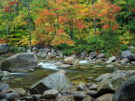 Tim Fitzharris - Autumn folliage along the Swift River, White Mountains National Forest, New Hampshire