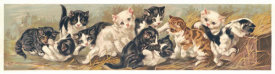 Unknown 19th Century American Lithographer - Yard of Cats, 1895