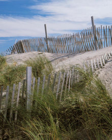 Carol Highsmith - Cape Hatteras, North Carolina - Dunes and Fence near the Lighthouse