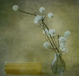 Delphine Devos - Books