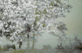 Nel Talen - Spring