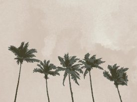 Uppsala Studio - Windy Palm Trees