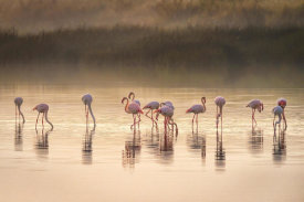 Jeffrey C. Sink - Photographic ode to Monet