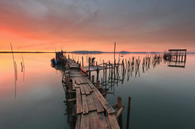 Alvaro Roxo - The last...Light