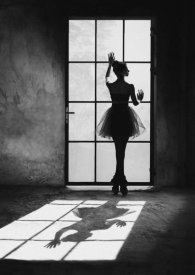 Julian Lauren - Twilight Dancer