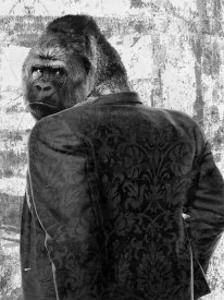 VizLab - Ape in a Suit