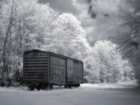 Carol Highsmith - Old train car found in a back lot of the warehouse district, Selma, Alabama, 2010