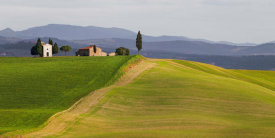 Pangea Images - Val d'Orcia, Siena, Tuscany (detail)