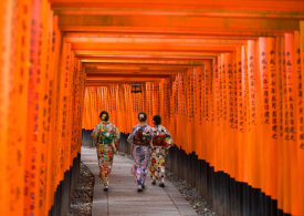 Pangea Images - Fushimi Inari Shrine, Kyoto