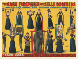 Courier Litho. Co. - Adam Forepaugh and Sells Brothers Circus: Madame Yucca, the Female Hercules, ca. 1898