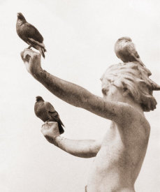 Angelo Rizzuto - Pigeons atop the USS Maine National Monument in Central Park, New York City, 1956