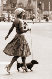 Angelo Rizzuto - Dachshund takes its human for a walk, New York City, 1958