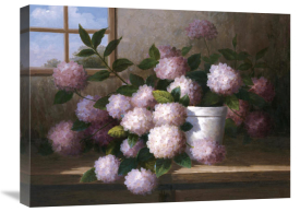 Welby - Hydrangea Blossoms l