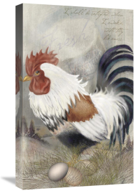 Alma Lee - Coat Of Many Colors Rooster