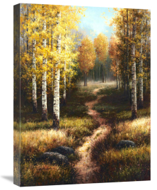 Arcobaleno - Birch Path