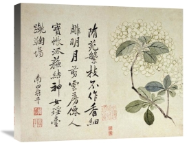 Yun Shouping - Hydrangeas